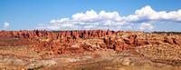 Fiery Furnace and Fins