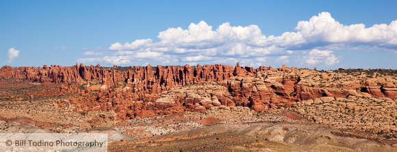 Fiery Furnace and Fins