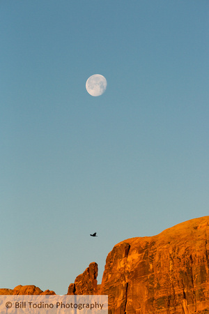Canyonlands Moonset