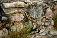 Snake Depiction, Dzibilchaltun Ruins